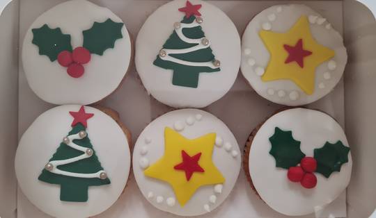 Boxed Christmas Cupcakes
